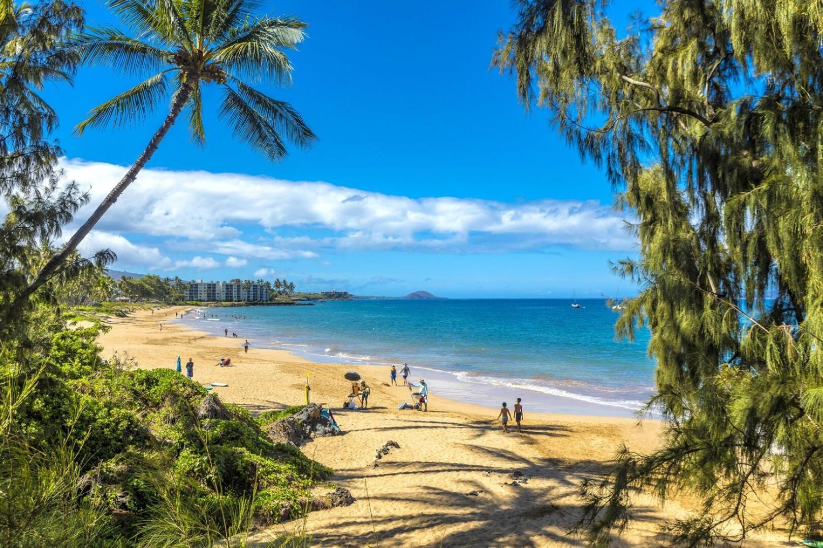 Kamaole Beach Royale 302 كيهي المظهر الخارجي الصورة